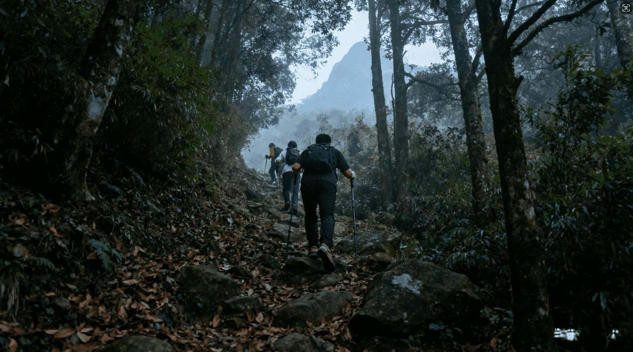 破解版佛跳墙加速器的正确使用方法与安全注意事项详解